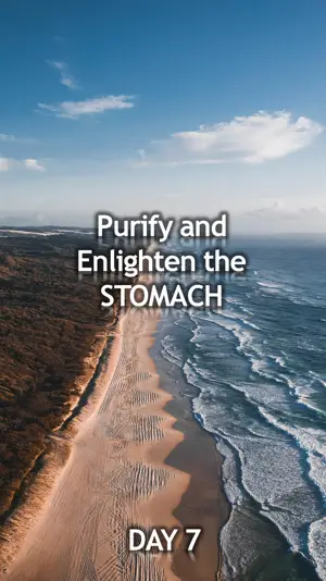 Day 7: The Stomach