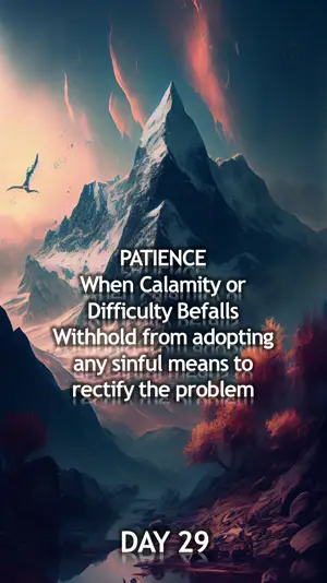 Day 29: Patience in Difficulty