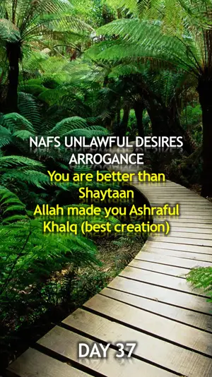 Day 37: Arrogance